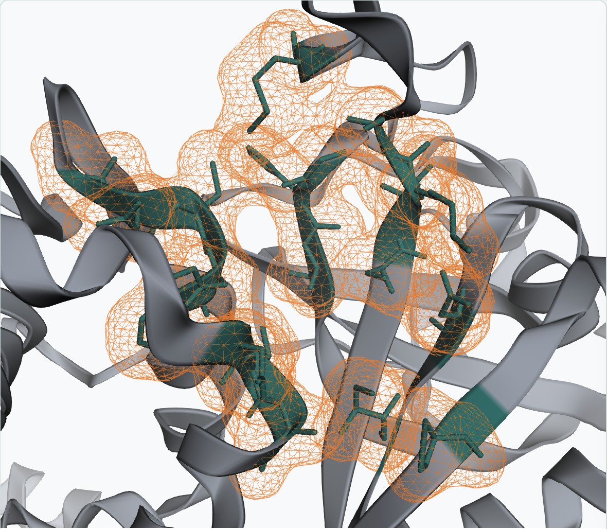 Computational Drug Design