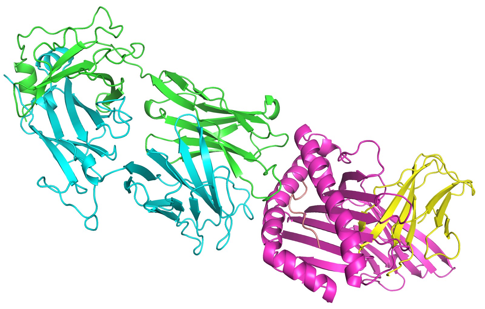 AI in Immunology
