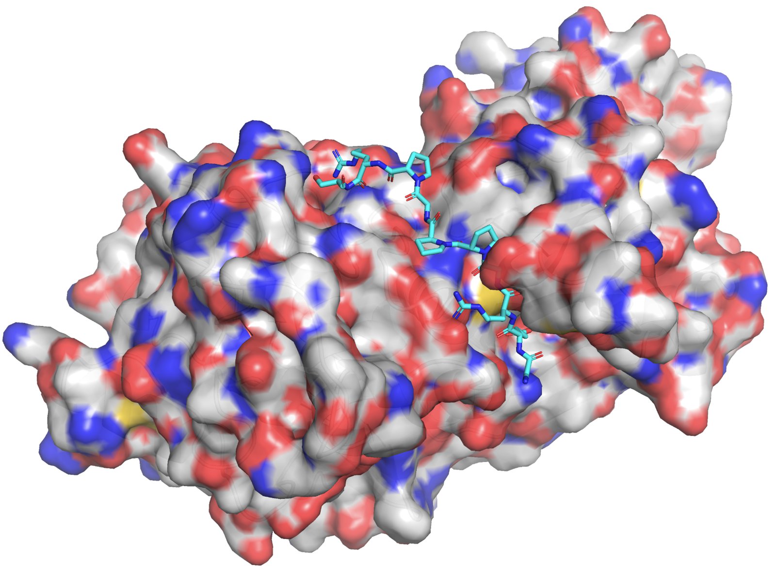 Protein Design